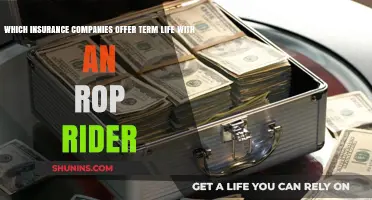Top Insurers Offering Term Life with ROP Rider Benefits