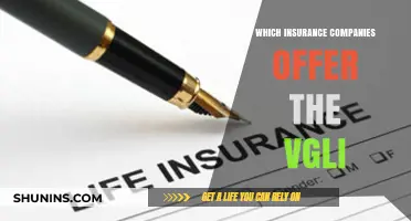 Top Insurance Providers Offering VGLI: A Comprehensive Guide