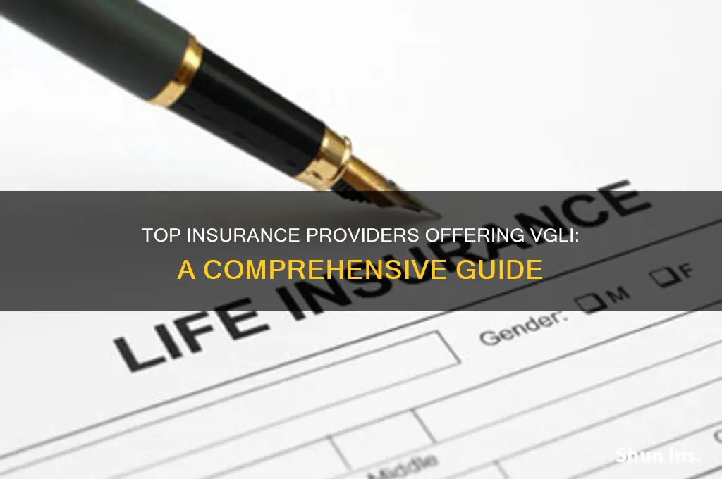 which insurance companies offer the vgli