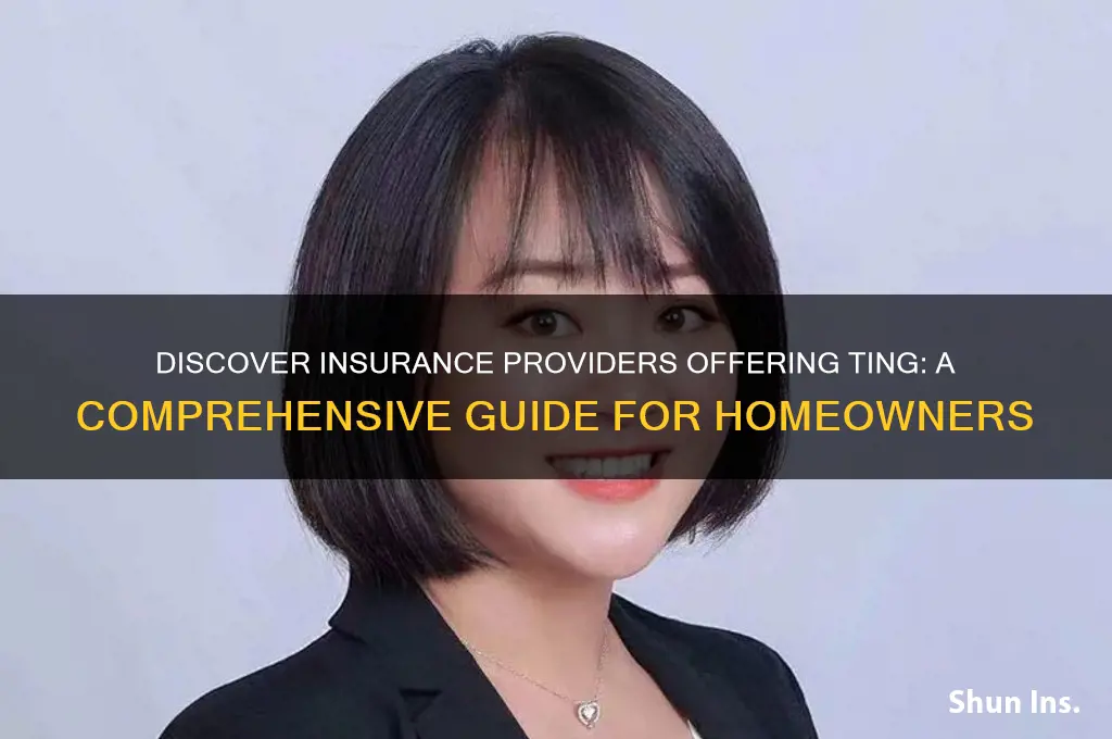which insurance companies offer ting