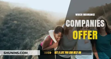 Top Insurance Providers: Comprehensive Coverage Options and Benefits Explained
