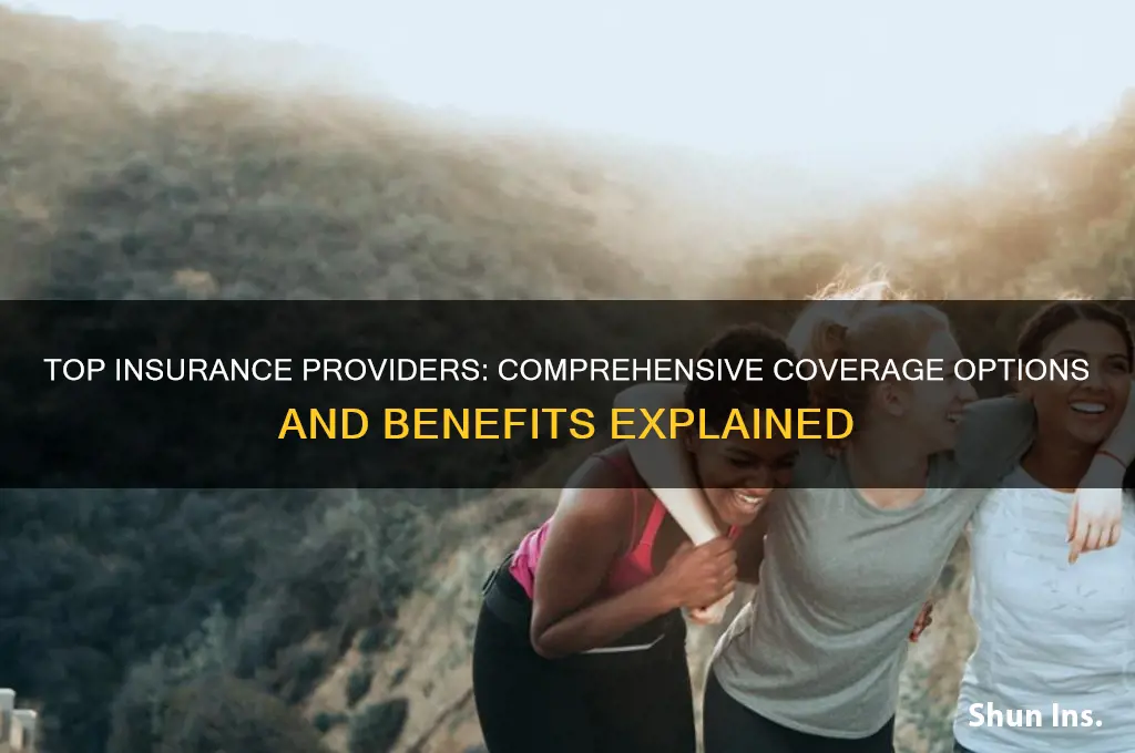 which insurance companies offer