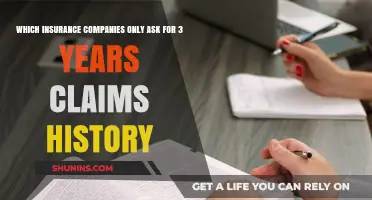 Insurance Companies Requiring Only 3 Years Claims History Revealed