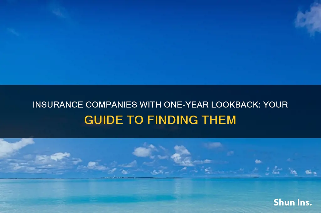 which insurance companies only look back 1 year
