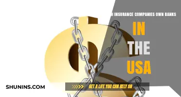 Insurance Giants in Banking: US Companies Owning Financial Institutions