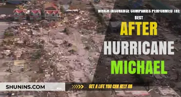 Top Insurers' Resilience: Post-Hurricane Michael Performance Analysis