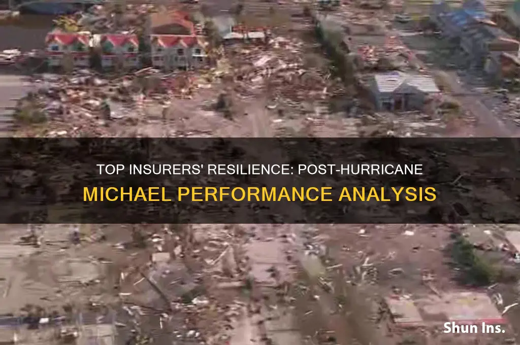 which insurance companies performed the best after hurricane michael