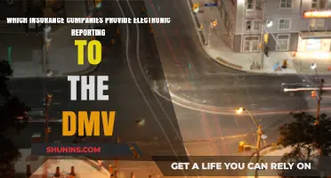 Electronic DMV Reporting: Top Insurance Companies Streamlining the Process