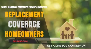 Top Homeowners Insurance Providers Offering Guaranteed Replacement Coverage