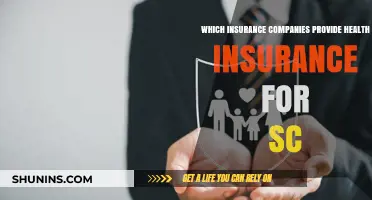 Top Health Insurance Providers for South Carolina Residents: A Comprehensive Guide