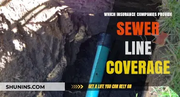 Top Insurance Providers Offering Sewer Line Coverage: A Comprehensive Guide