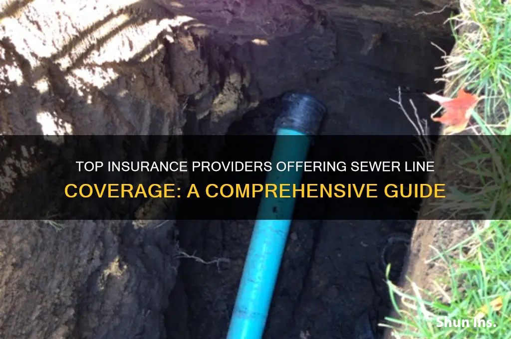 which insurance companies provide sewer line coverage