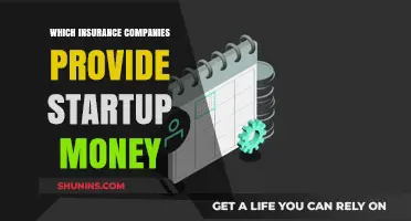 Top Insurance Companies Offering Startup Funding: A Comprehensive Guide