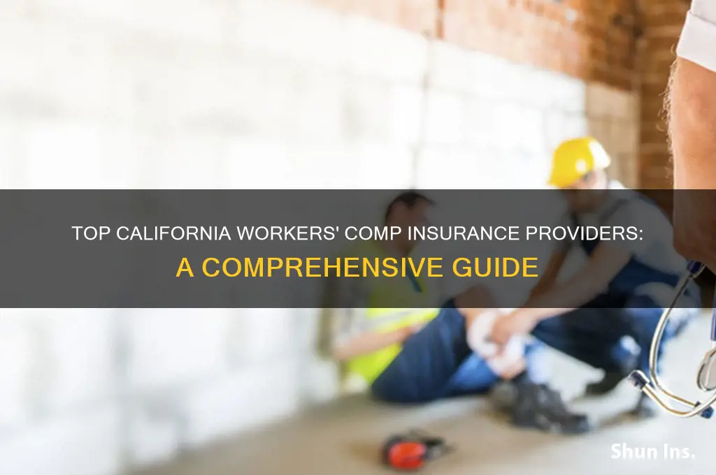 which insurance companies provide workers comp insurance in california