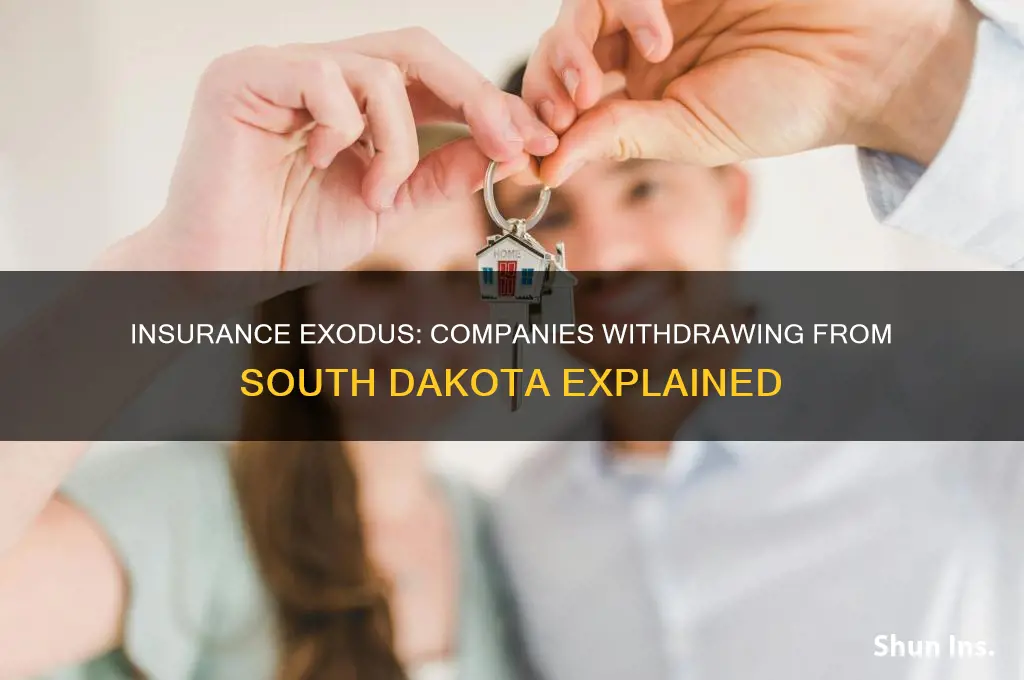 which insurance companies pulled out of south dakota