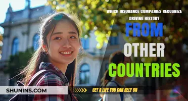 International Driving Records: Which Insurers Accept Foreign History?