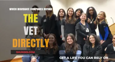 Vet Direct Refunds: Insurance Companies That Pay Clinics First