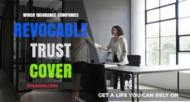 Revocable Trust Insurance Coverage: Which Companies Offer Protection?
