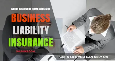 Top Business Liability Insurance Providers: A Comprehensive Guide for Companies