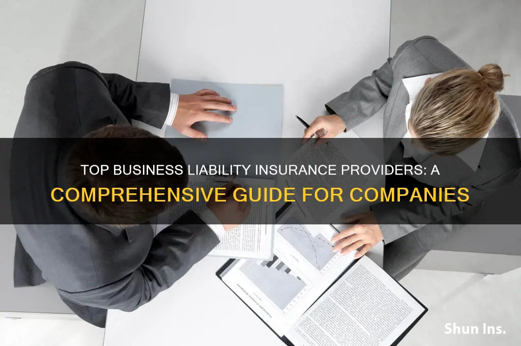 which insurance companies sell business liability insurance
