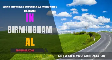 Top Homeowners Insurance Providers in Birmingham, AL: Your Comprehensive Guide