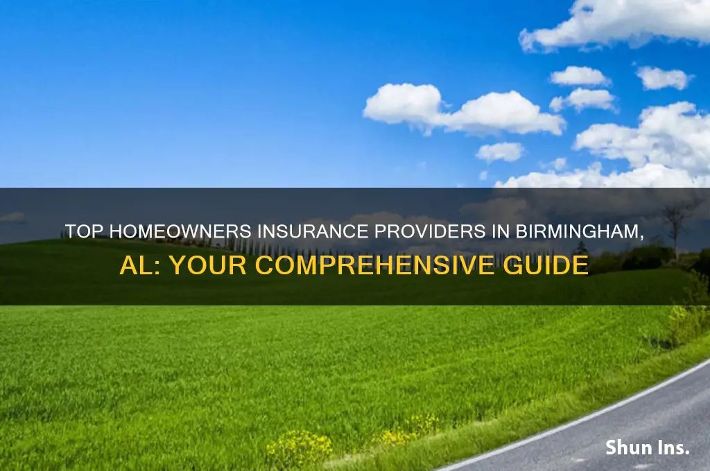 which insurance companies sell homeowners insurance in birmingham al