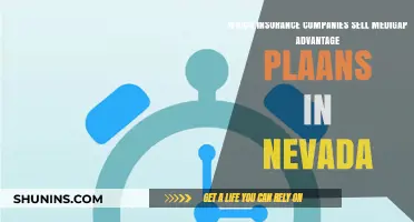 Nevada Medigap Advantage Plans: Top Insurance Providers to Consider