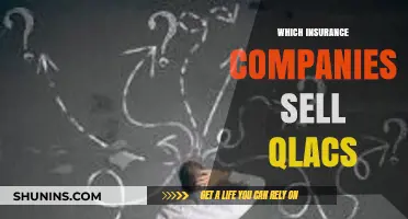 Top Insurance Providers Offering QLACs: A Comprehensive Guide