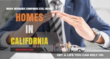 California Home Insurance: Which Companies Still Offer Coverage?