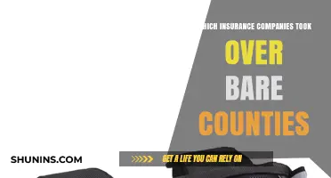 Insurance Giants Step In: Bare Counties' New Coverage Providers Revealed
