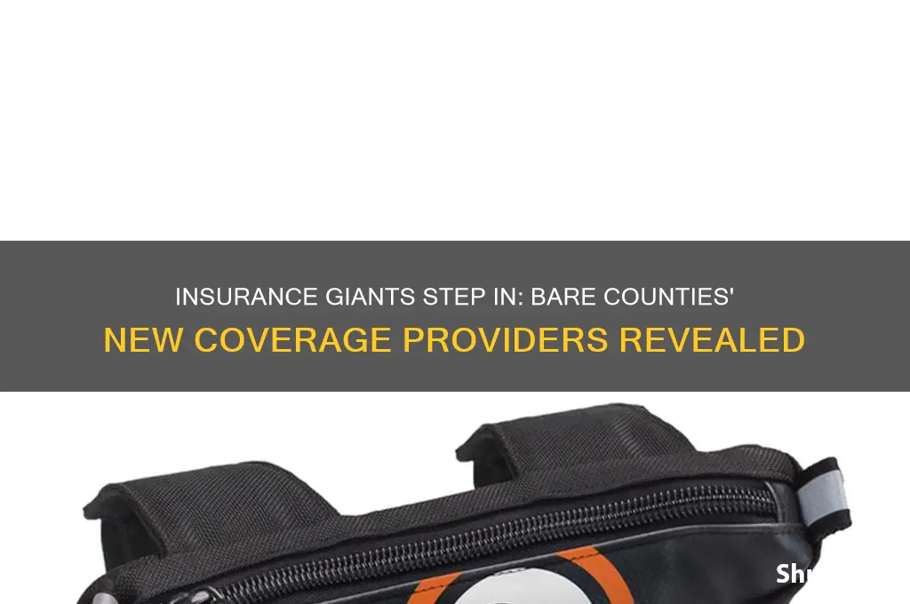 which insurance companies took over bare counties