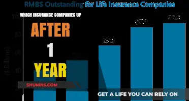 Top Insurance Companies That Thrive and Grow After One Year
