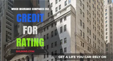 How Credit Scores Impact Insurance Ratings: Key Companies Explained