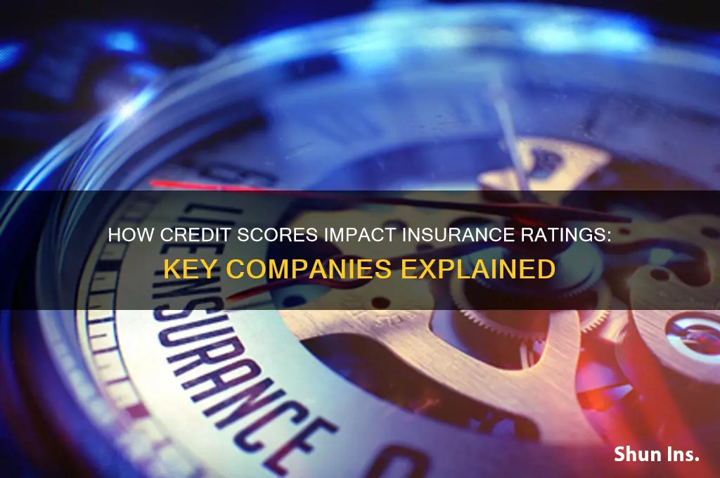 which insurance companies use credit for rating