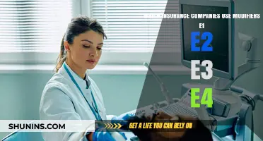 Insurance Modifiers E1-E4: Which Companies Utilize Them?