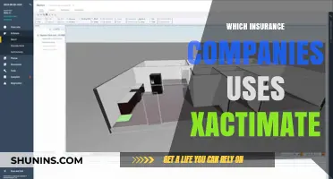 Top Insurance Companies Utilizing Xactimate for Claims Estimation