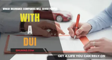 DUI Insurance Options: Which Companies Offer Coverage After a DUI?