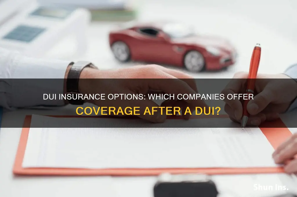 which insurance companies will cover people with a dui