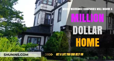 Insuring Luxury: Top Companies for Million-Dollar Home Coverage