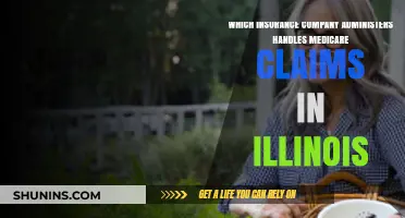 Illinois Medicare Claims: Which Insurance Company Handles Them?