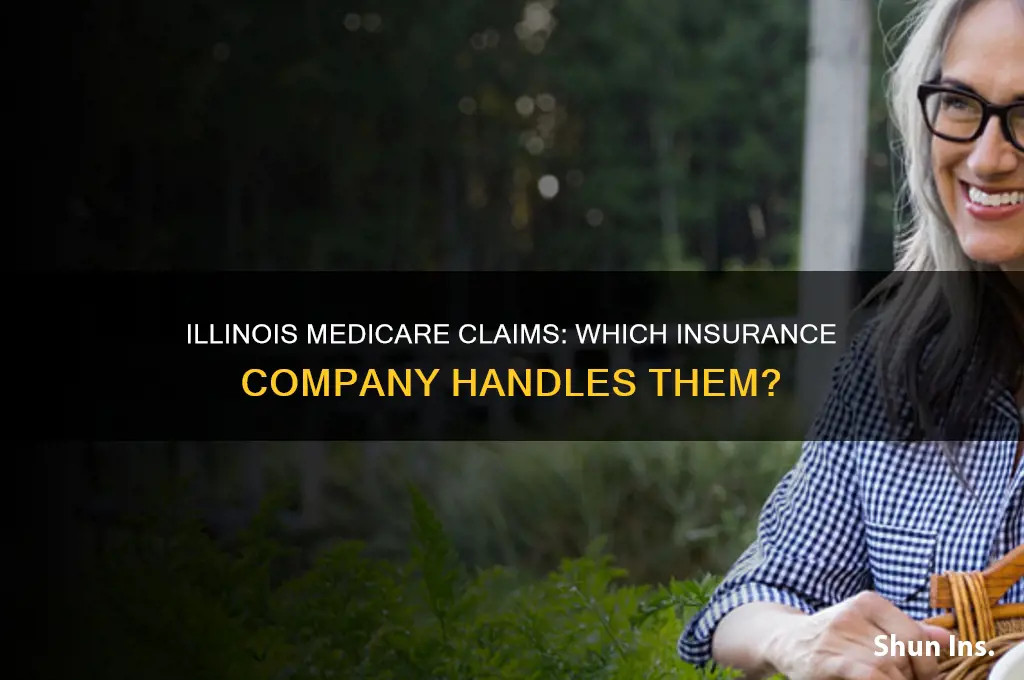 which insurance company administers handles medicare claims in illinois
