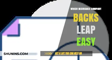 Which Insurance Company Backs Leap Easy? Unveiling the Partnership