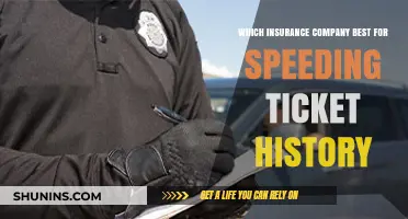 Best Insurance Companies for Drivers with Speeding Ticket Histories