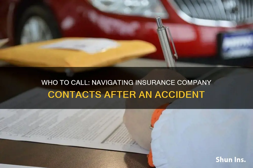 which insurance company contact in accident