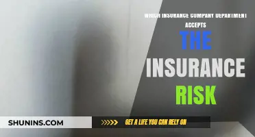 Understanding Which Insurance Department Manages and Accepts Policy Risks