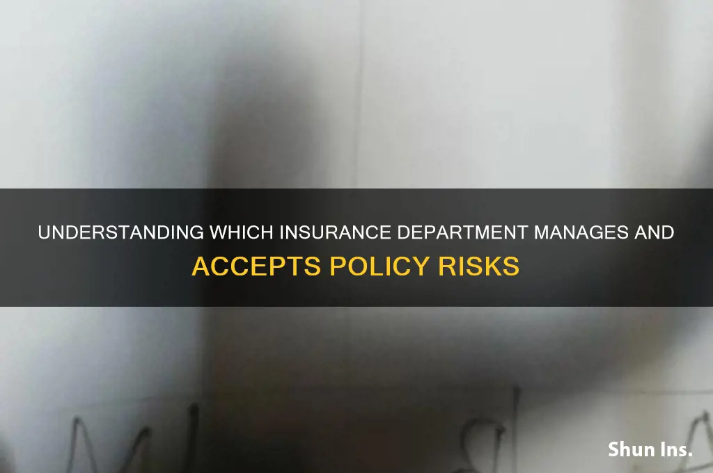 which insurance company department accepts the insurance risk
