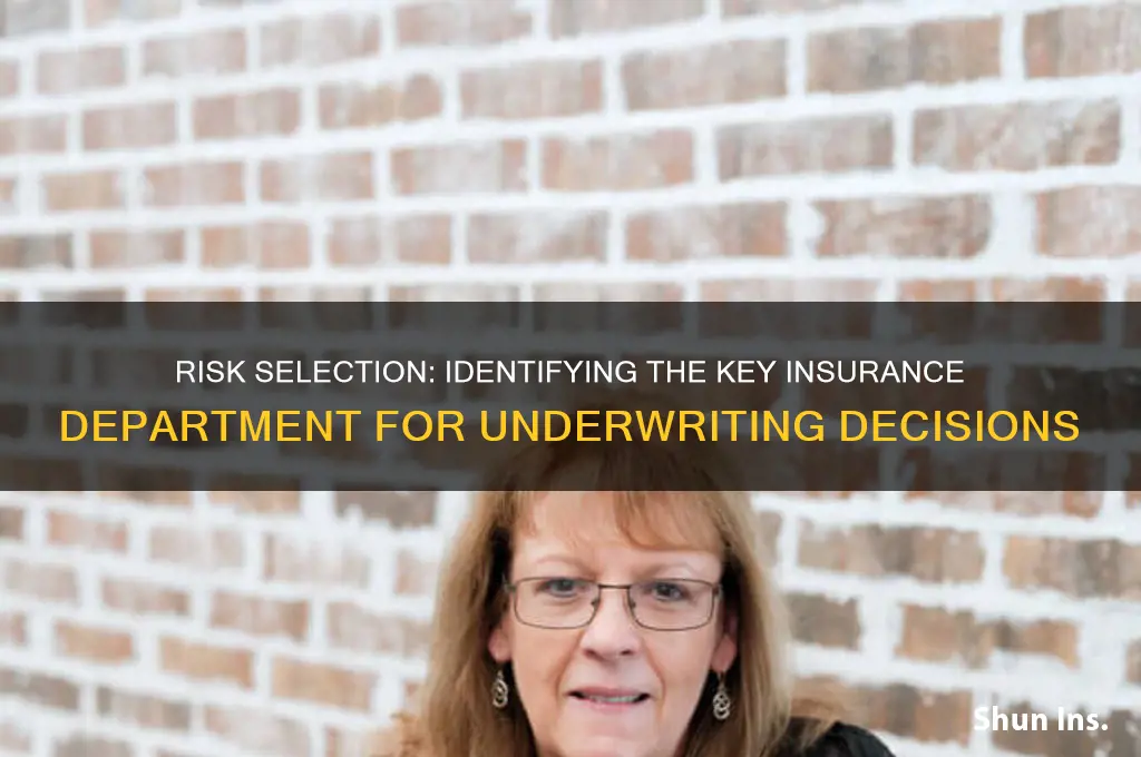 which insurance company department is responsible for risk selection