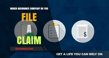 How to File an Insurance Claim: Choosing the Right Company