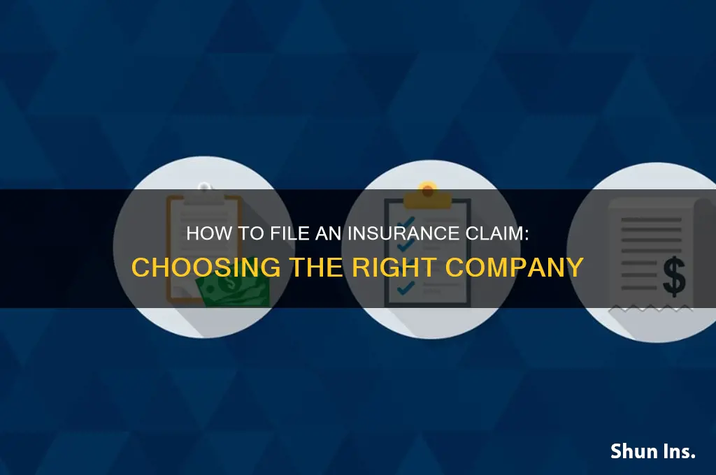 which insurance company do you file a claim