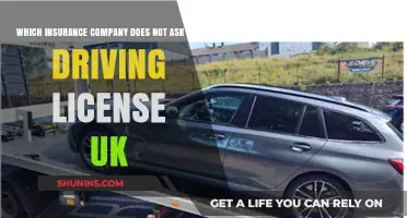 UK Insurance Options Without a Driving Licence: What You Need to Know